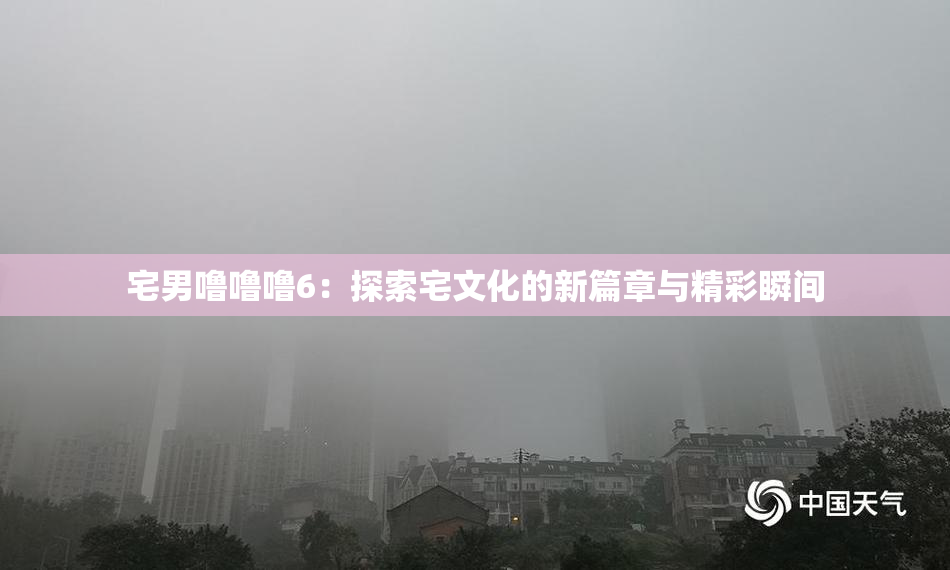 宅男噜噜噜6：探索宅文化的新篇章与精彩瞬间