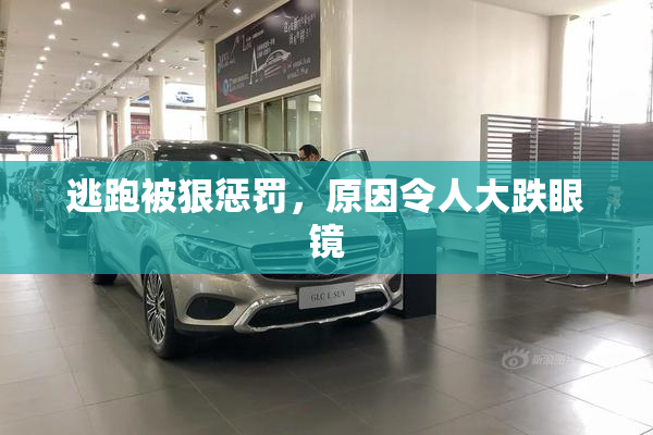逃跑被狠惩罚，原因令人大跌眼镜