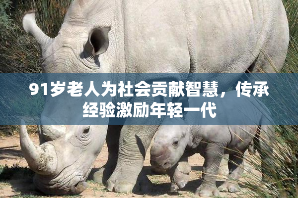 91岁老人为社会贡献智慧，传承经验激励年轻一代