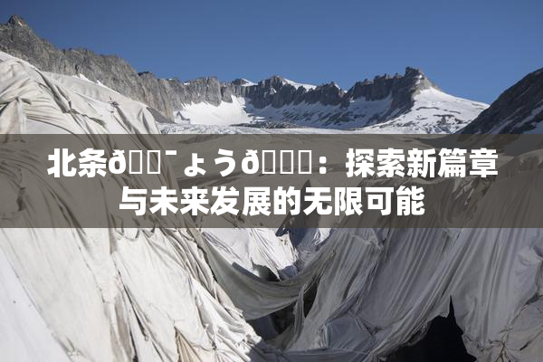 北条🔯ょう🍓：探索新篇章与未来发展的无限可能