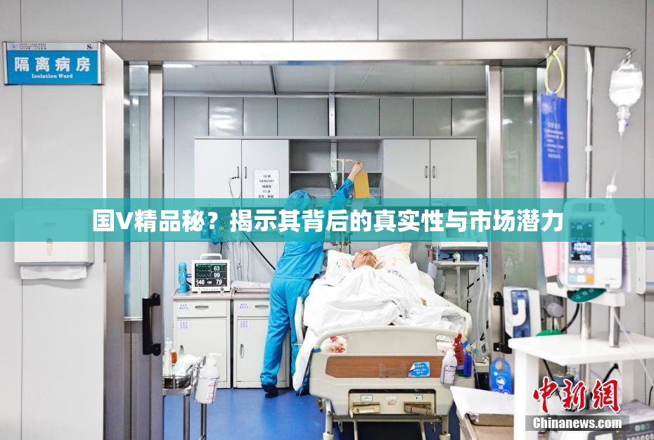 国V精品秘？揭示其背后的真实性与市场潜力