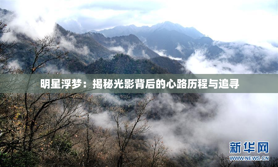 明星浮梦：揭秘光影背后的心路历程与追寻
