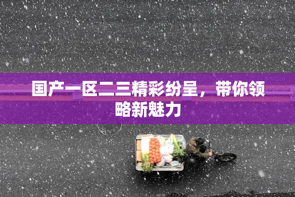 国产一区二三精彩纷呈，带你领略新魅力