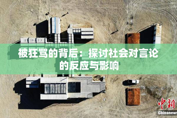 被狂骂的背后：探讨社会对言论的反应与影响