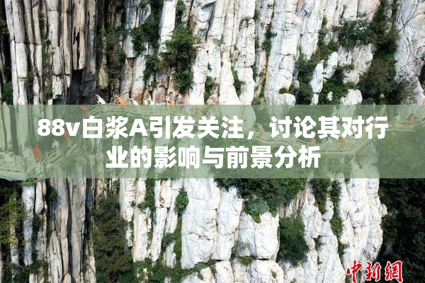 88v白浆A引发关注，讨论其对行业的影响与前景分析
