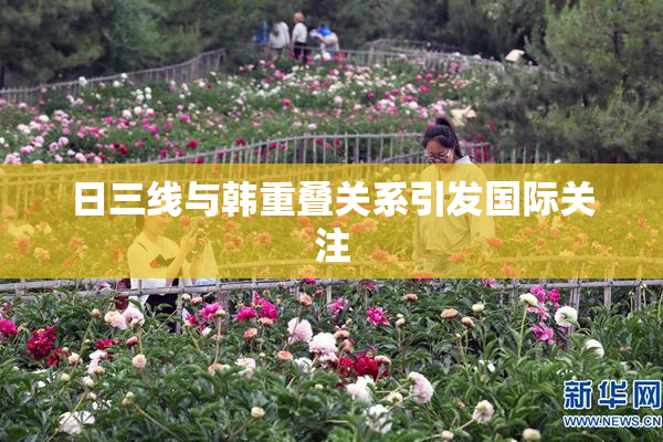 日三线与韩重叠关系引发国际关注