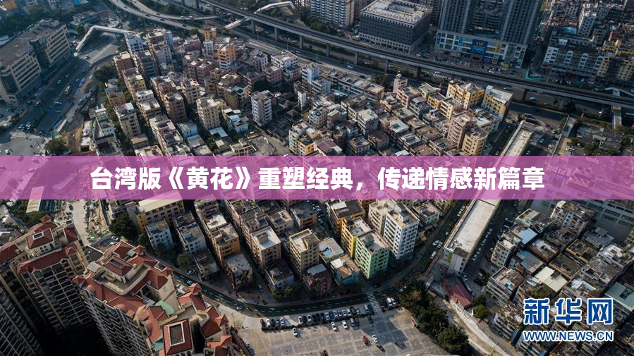 台湾版《黄花》重塑经典，传递情感新篇章