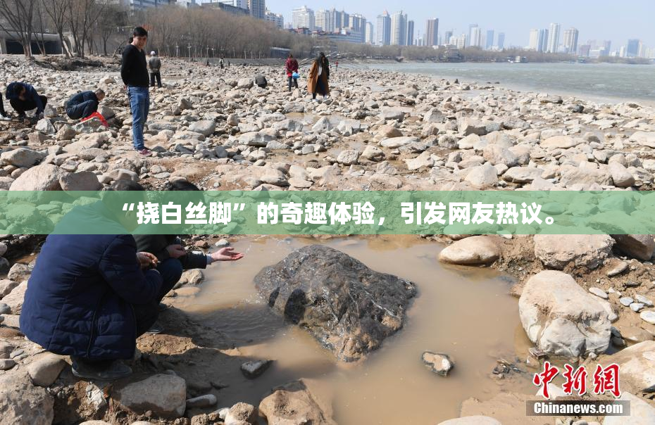 “挠白丝脚”的奇趣体验，引发网友热议。