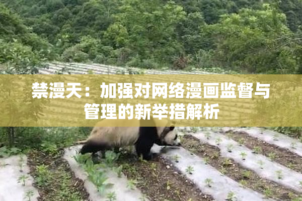 禁漫天：加强对网络漫画监督与管理的新举措解析