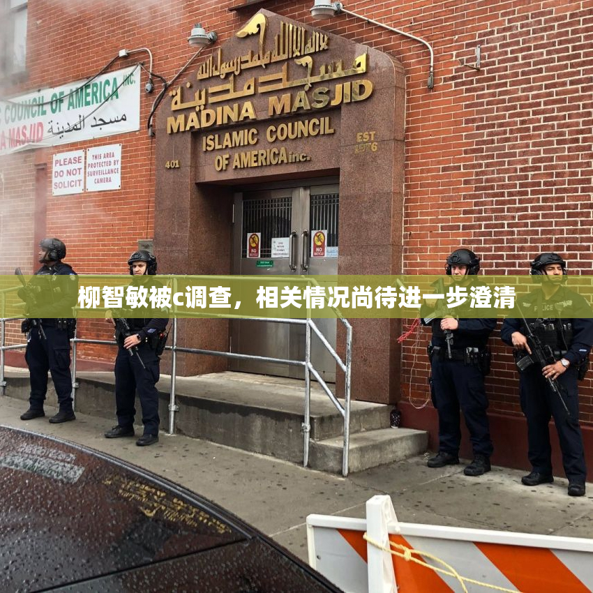 柳智敏被c调查，相关情况尚待进一步澄清