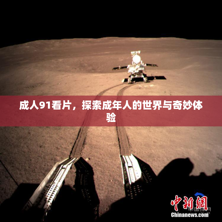 成人91看片，探索成年人的世界与奇妙体验