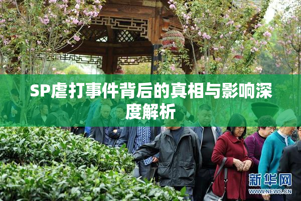 SP虐打事件背后的真相与影响深度解析