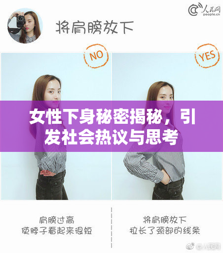 女性下身秘密揭秘，引发社会热议与思考