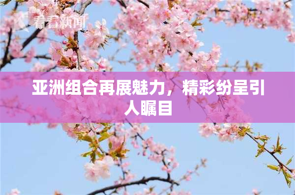 亚洲组合再展魅力，精彩纷呈引人瞩目