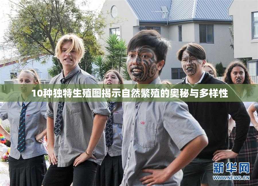 10种独特生殖图揭示自然繁殖的奥秘与多样性