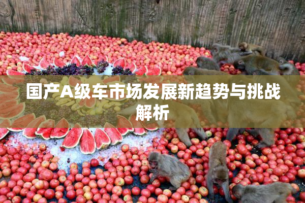 国产A级车市场发展新趋势与挑战解析