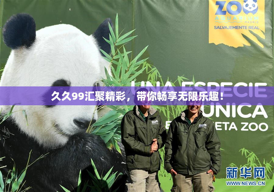 久久99汇聚精彩，带你畅享无限乐趣！