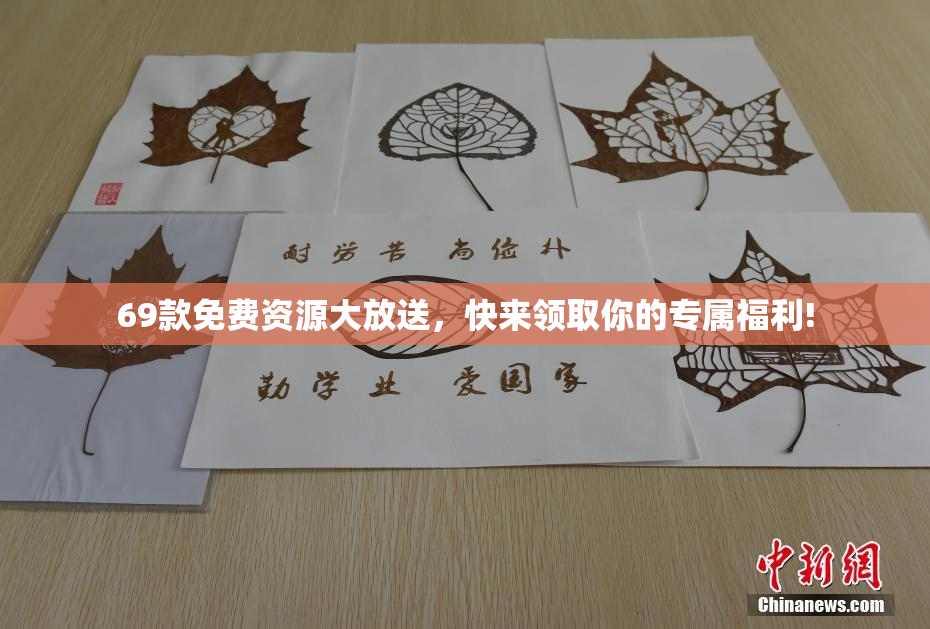 69款免费资源大放送，快来领取你的专属福利!
