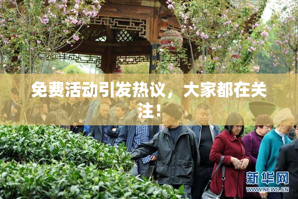 免费活动引发热议，大家都在关注！