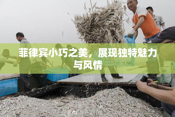 菲律宾小巧之美，展现独特魅力与风情