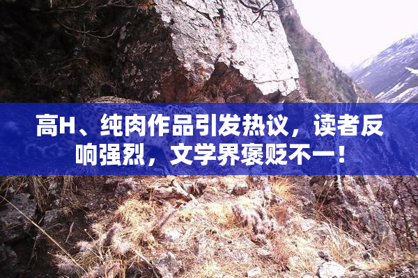 高H、纯肉作品引发热议，读者反响强烈，文学界褒贬不一！