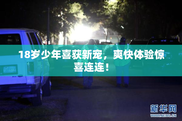 18岁少年喜获新宠，爽快体验惊喜连连！