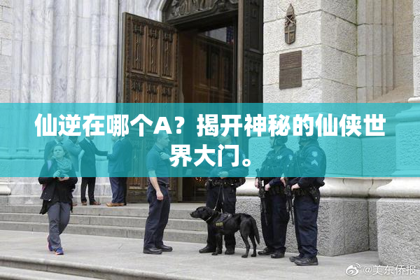 仙逆在哪个A？揭开神秘的仙侠世界大门。