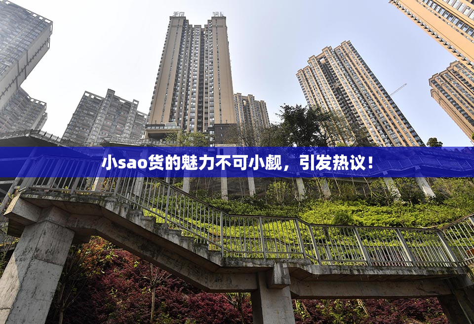 小sao货的魅力不可小觑，引发热议！
