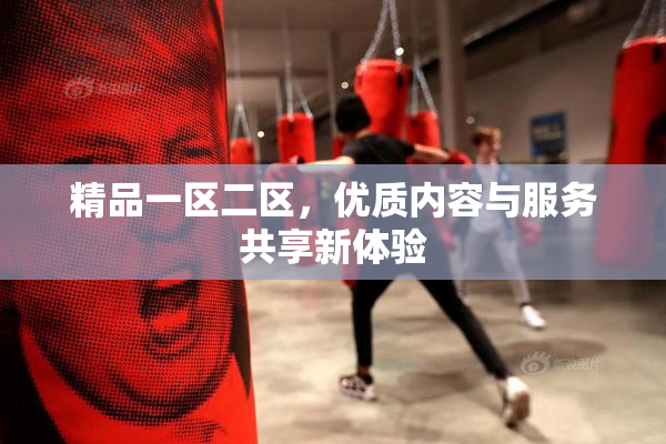 精品一区二区，优质内容与服务共享新体验