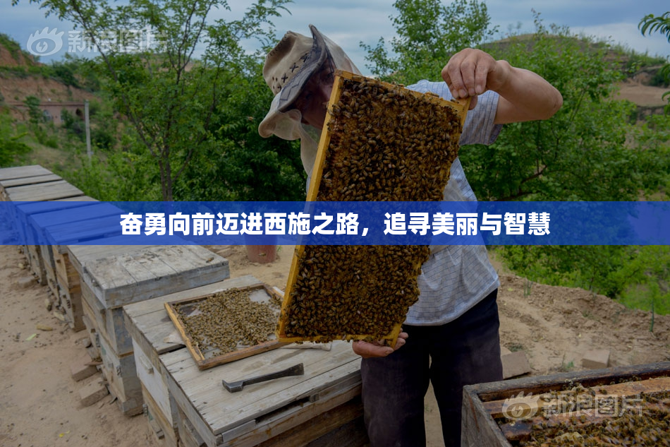奋勇向前迈进西施之路，追寻美丽与智慧