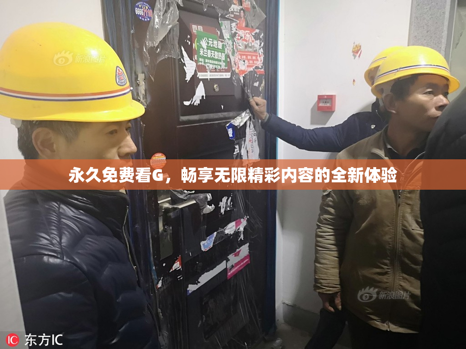 永久免费看G，畅享无限精彩内容的全新体验