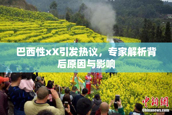 巴西性xX引发热议，专家解析背后原因与影响