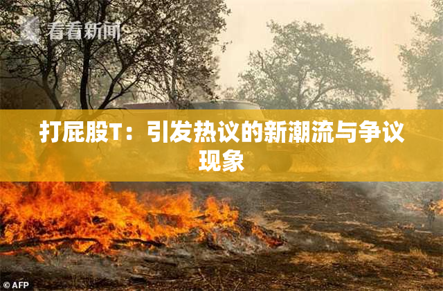 打屁股T：引发热议的新潮流与争议现象