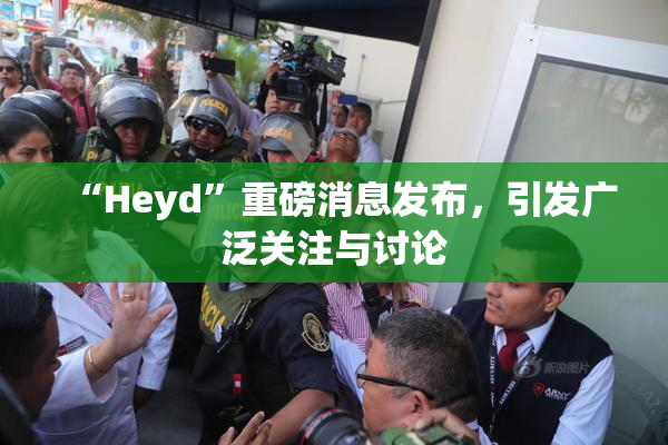 “Heyd”重磅消息发布，引发广泛关注与讨论