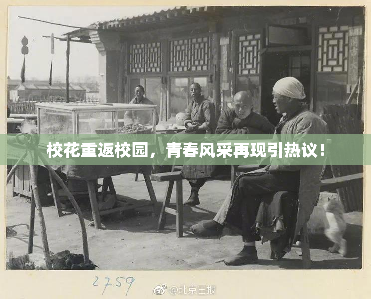 校花重返校园，青春风采再现引热议！