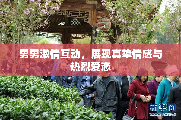 男男激情互动，展现真挚情感与热烈爱恋