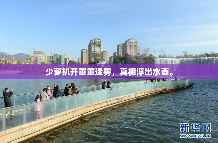 少萝扒开重重迷雾，真相浮出水面。