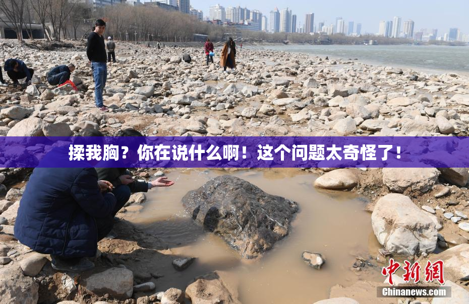 揉我胸？你在说什么啊！这个问题太奇怪了！