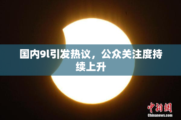 国内9l引发热议，公众关注度持续上升