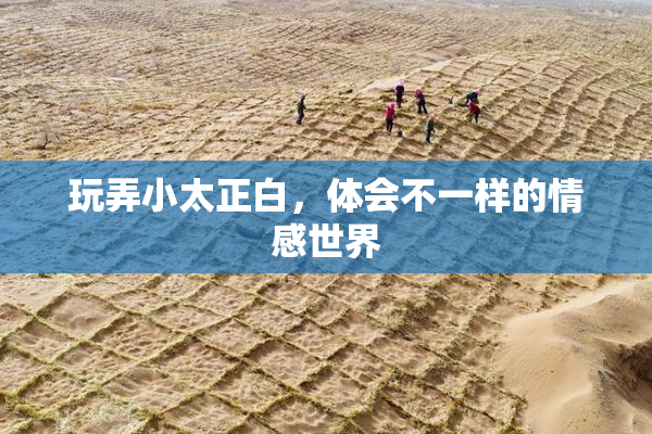 玩弄小太正白，体会不一样的情感世界