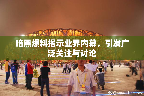 暗黑爆料揭示业界内幕，引发广泛关注与讨论