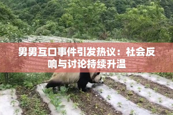男男互口事件引发热议：社会反响与讨论持续升温