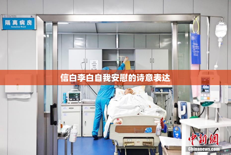 信白李白自我安慰的诗意表达