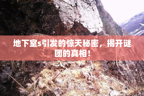 地下室s引发的惊天秘密，揭开谜团的真相！