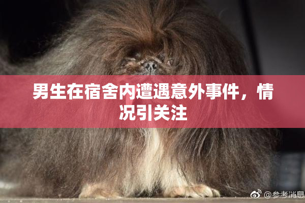 男生在宿舍内遭遇意外事件，情况引关注