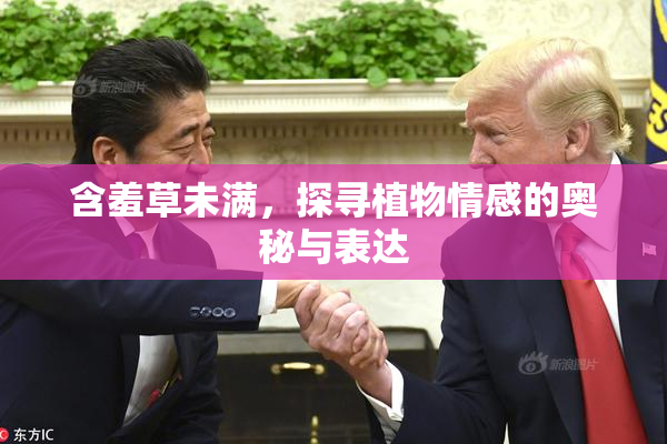 含羞草未满，探寻植物情感的奥秘与表达