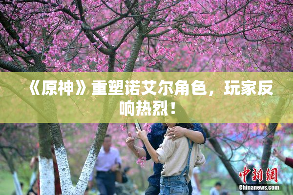 《原神》重塑诺艾尔角色，玩家反响热烈！