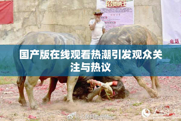 国产版在线观看热潮引发观众关注与热议