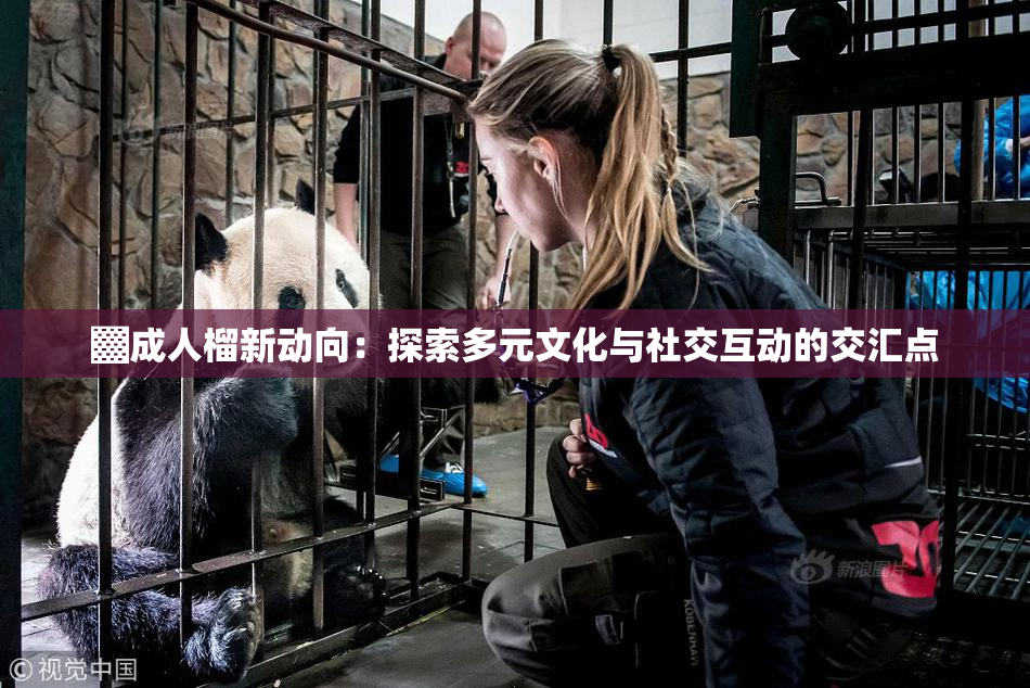 ▓成人榴新动向：探索多元文化与社交互动的交汇点