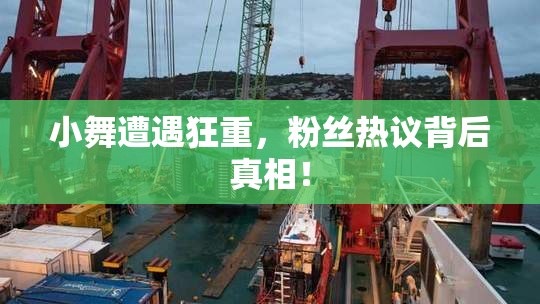 小舞遭遇狂重，粉丝热议背后真相！